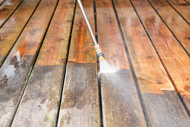 Best Driveway Pressure Washing  in Kenneth City, FL